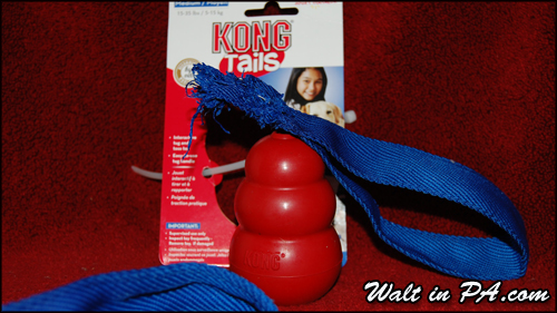 Kong Tails - 1